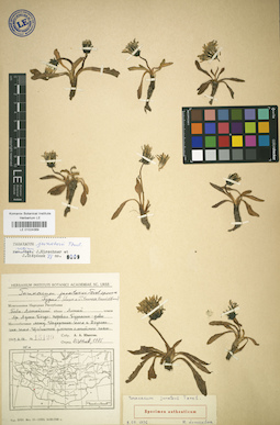 LE 01024369