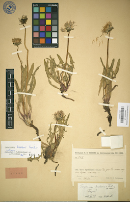 LE 01024371