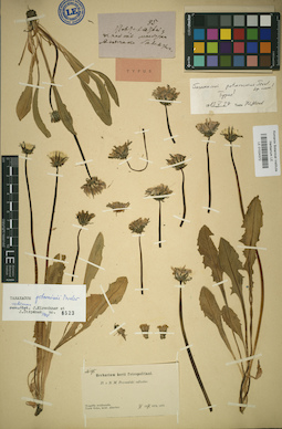LE 01024372