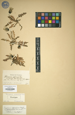 LE 01024373