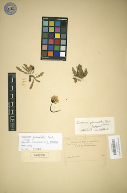 LE 01024374
