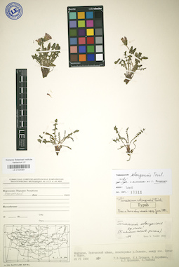 LE 01024381