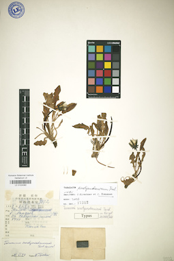LE 01024382