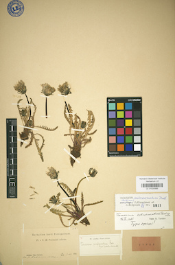 LE 01024383