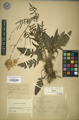 LE 01024468