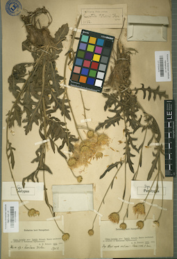 LE 01024470