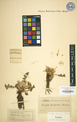 LE 01024471
