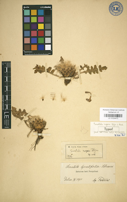 LE 01024472