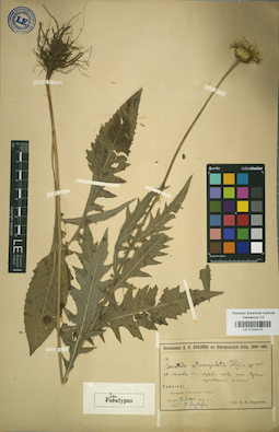 LE 01024473