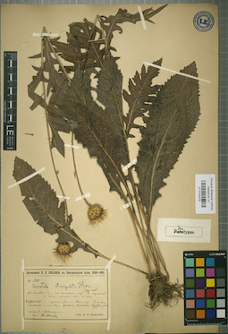 LE 01024476