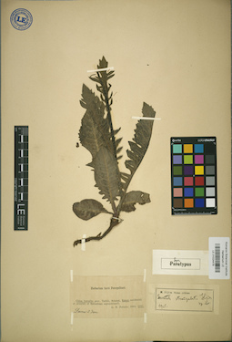 LE 01024478