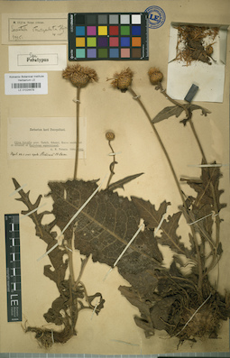 LE 01024479