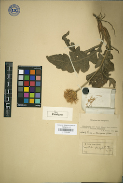 LE 01024480