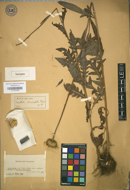 LE 01024482