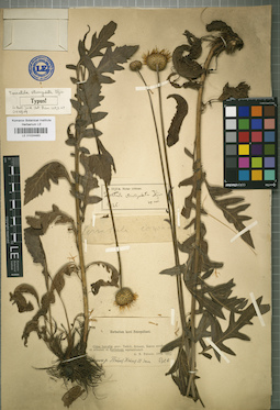 LE 01024483