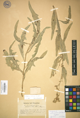 LE 01024510