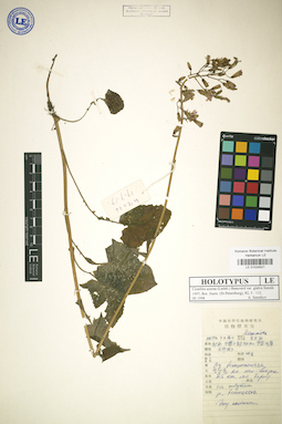 LE 01024521