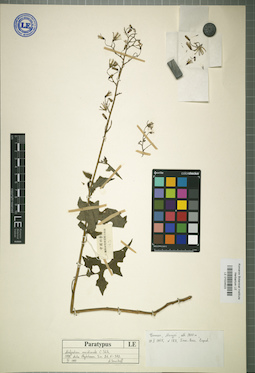 LE 01024523