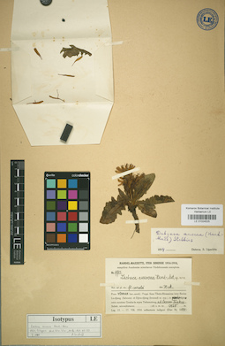LE 01024525