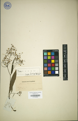 LE 01024529