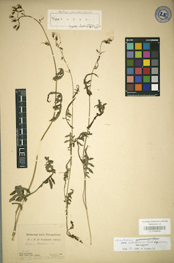LE 01024530