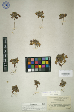 LE 01024536