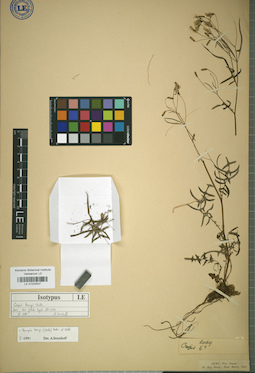 LE 01024537