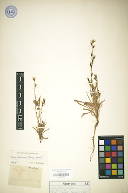 LE 01024542