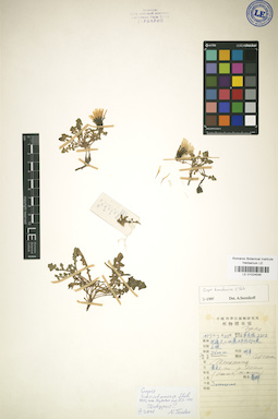 LE 01024546