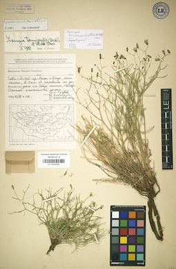 LE 01024550