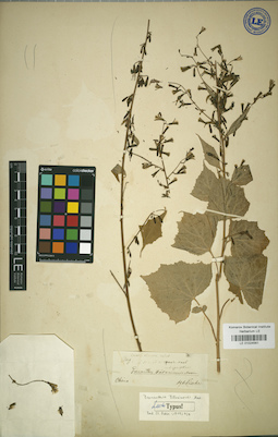 LE 01024561