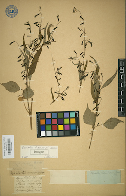 LE 01024562