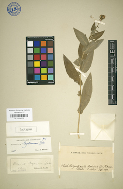 LE 01024570
