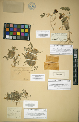 LE 01024593