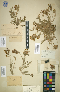 LE 01024631