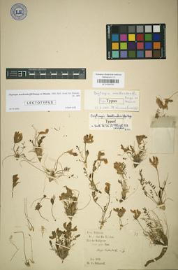 LE 01024702