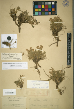 LE 01024740