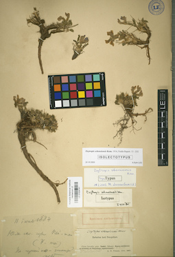 LE 01024741