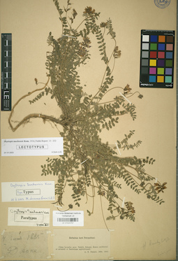 LE 01024757
