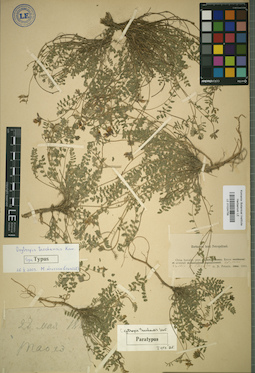 LE 01024759