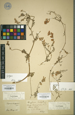 LE 01024793