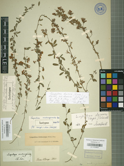 LE 01024827