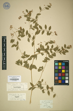 LE 01024850