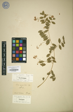 LE 01024851