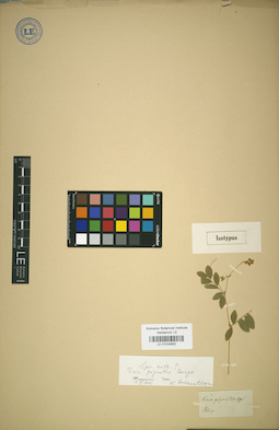 LE 01024852