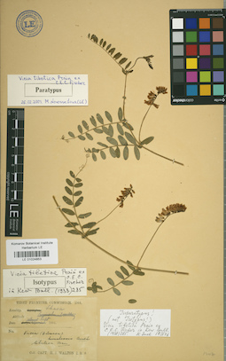 LE 01024853