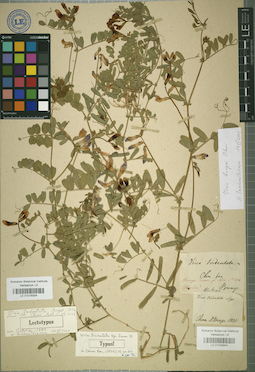 LE 01024854