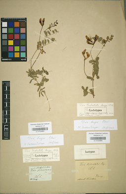 LE 01024856