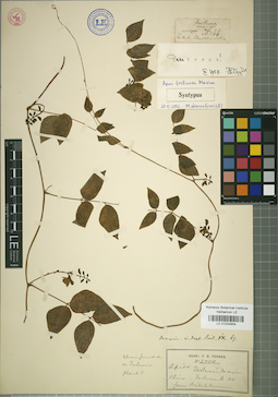 LE 01024859