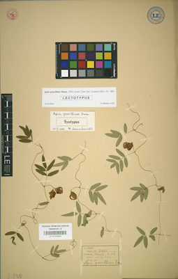 LE 01024863